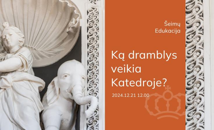 Šeimų edukacija „Ką dramblys veikia Katedroje?“